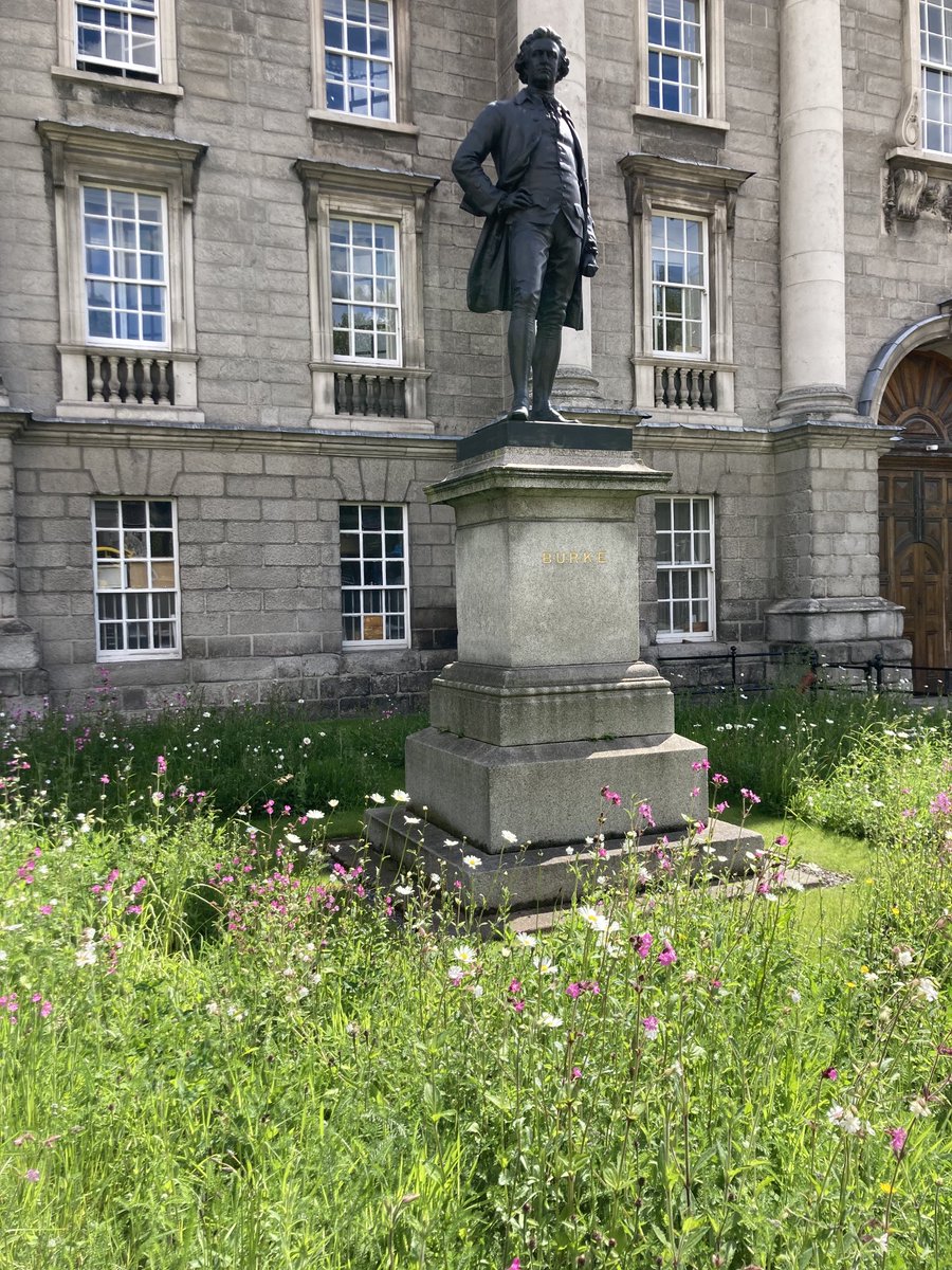 Orna Mulcahy tweet media