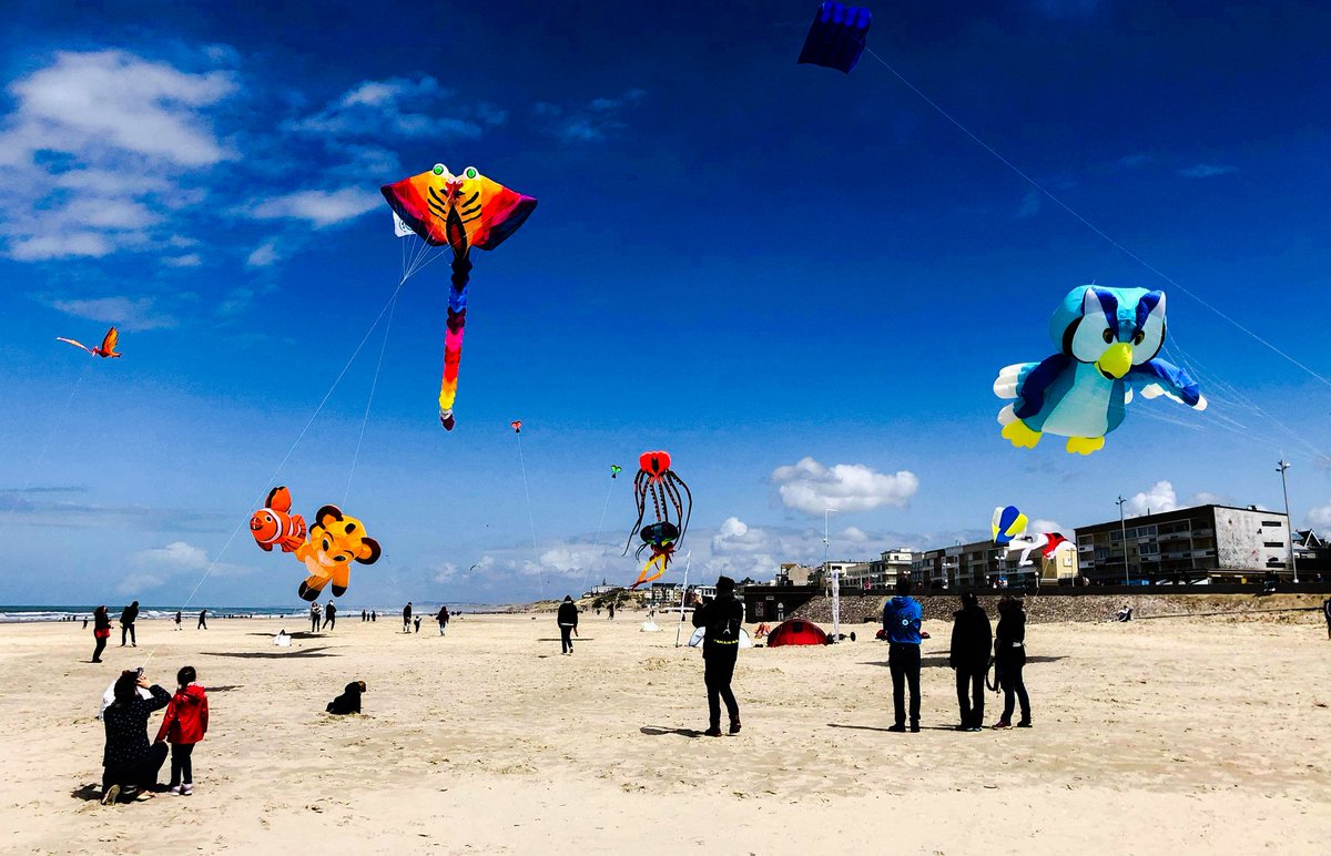 BercKite's tweet image. 