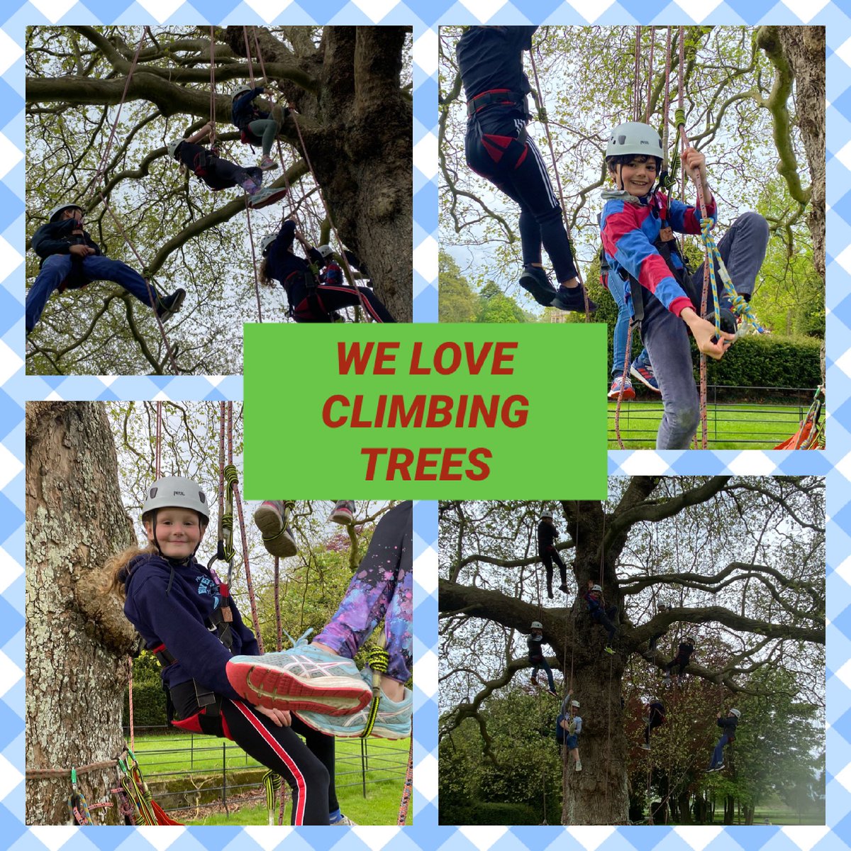 cpsboarding's tweet photo. WHAT GOES UP MUST COME DOWN - SADLY! What a wonderful Sunday activity for our boarders with the amazing @thegreatbigtreeclimb visiting us. The children got to rope climb up one of the amazing trees in the grounds and abseil back down again! #iloveboarding https://t.co/g9N9Neml0h