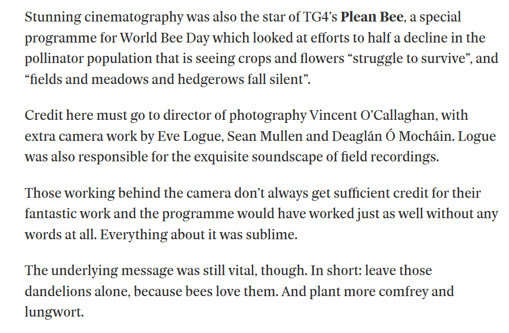 JaneCStout's tweet photo. Yes - credit where its due in @Independent_ie for the beautiful @TG4TV film #PleanBee by @Dearcan37  - amazing videography. It is sublime! Catch it on the TG4 player 
https://t.co/gN5y3SS3zX https://t.co/TcikPjWexs