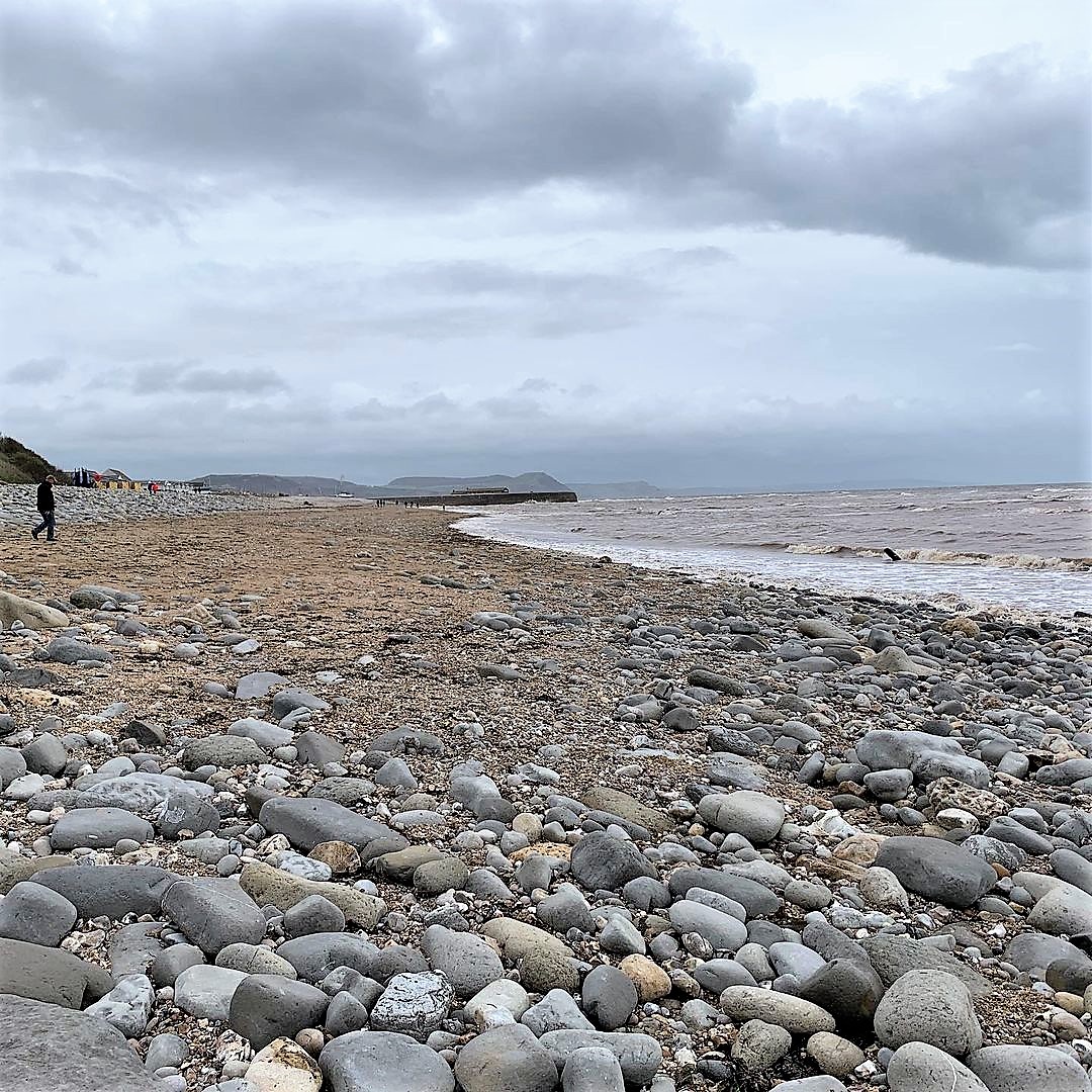 We are delighted to have taken part in the <a href="/LitterFreeCoast/">LitterFreeCoast&Sea</a> #GreatDorsetBeachClean at the weekend. It was a wild and woolly day, but when the plastics are cleared there are such treasures to find.
#LymeRegis