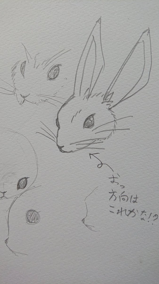 鼻にヒゲを描くと
ネズミっぽくなるのか!?
取捨選択大事。 