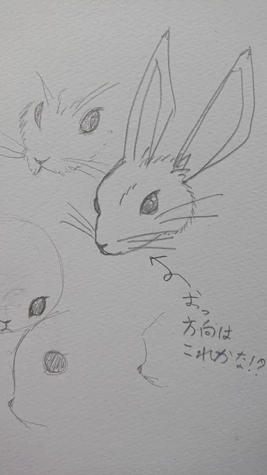 鼻にヒゲを描くと
ネズミっぽくなるのか!?
取捨選択大事。 