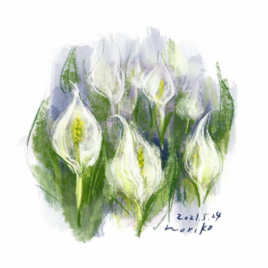 Asianskunkcabbage Twitter Search Asianskunkcabbage Twitter Search