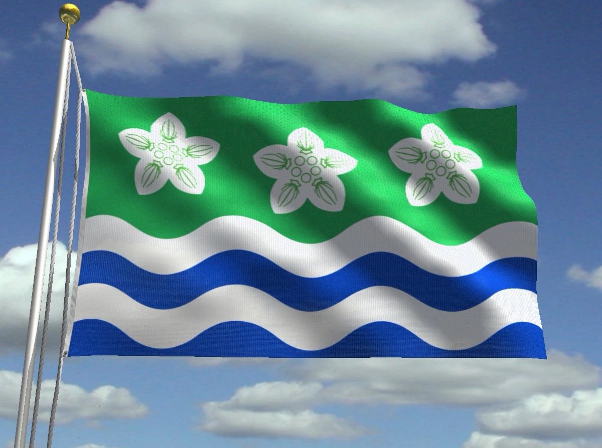The Cumberland flag was registered in 2012.

The Parnassus flower is a wild flower of the marshy uplands and was chosen as the county flower of #Cumberland, growing here on a green field.

The wavy blue and white stripes represent the coastline and the famed lakes of the county.