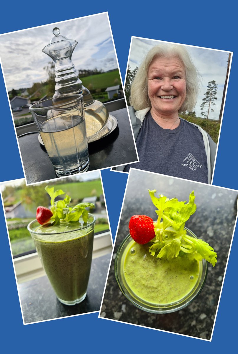 Lilleba2's tweet photo. Such a great Gala weekend 🎉🚶‍♀️🙏 Thank you coaches and @MyPeakChallenge 👏
My best recipie for the morning after a Gala is a nice hike🚶‍♀️🐕, home for a glass of lemonwater 🍋 and a celery, ginger, spinach smoothie 💚.
@SamHeughan @jordana_brown 
#MPCVirtualGala2021 https://t.co/ChVI4iQpF7