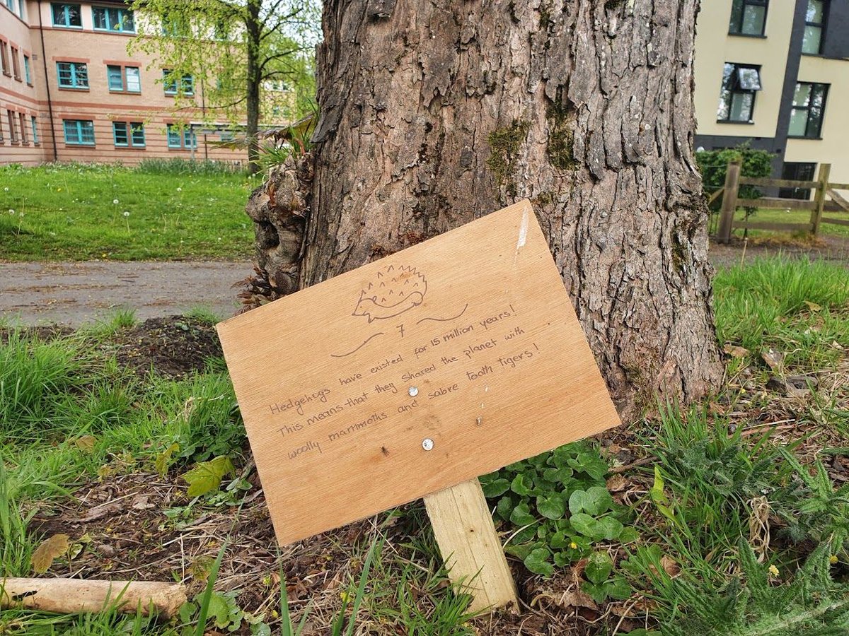 Love this wee sign spotted in the grounds of #StirlingUniversity. #hedgehogfacts #scottishwildlife #woolymammoths #sabretoothtigers