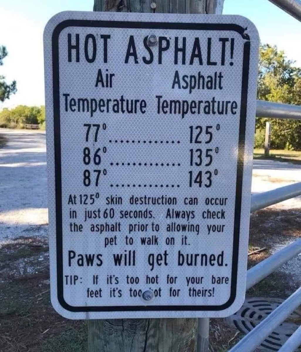 mrweathermanonx's tweet photo. A really good reminder. 🐾❤️ https://t.co/YnPwA8NzfN