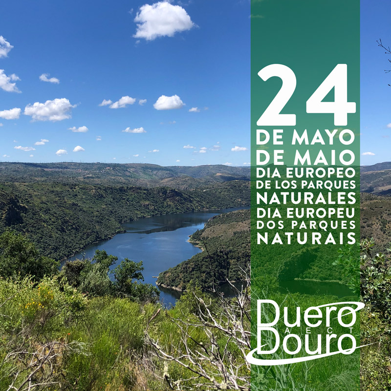 AECTDueroDouro's tweet photo. 🇪🇸 ¡FELIZ DÍA DE LOS PARQUES NATURALES!
🇵🇹 FELIZ DIA DOS PARQUES NATURAIS!
#AECTDueroDouro #DueroDouro #parquesnaturales #parquesnaturais #losarribes #lasarribes https://t.co/V1obdGxN6V