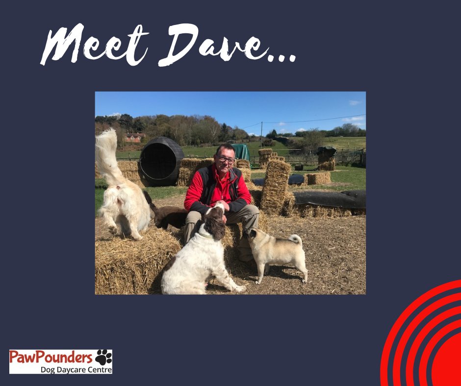 Meet Dave - our doggy superstar and much loved member of the pack.

#meetheteam