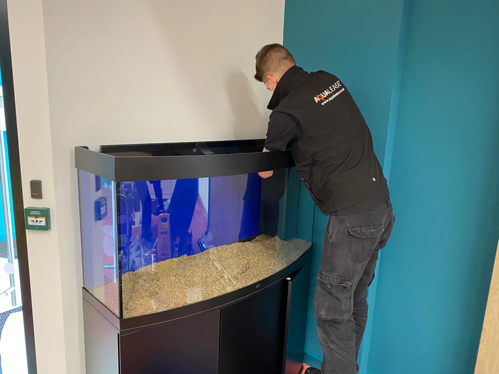 AqualeaseUK's tweet photo. Following their open day last week, we are delighted to share pictures of the recently installed Vision 260 at @AscentisAO!
The aquarium looks stunning in the reception area of their brand new offices, with special live plants and tropical fish! π πΏ
#aquariums #vision260 https://t.co/q0pcRejGQa