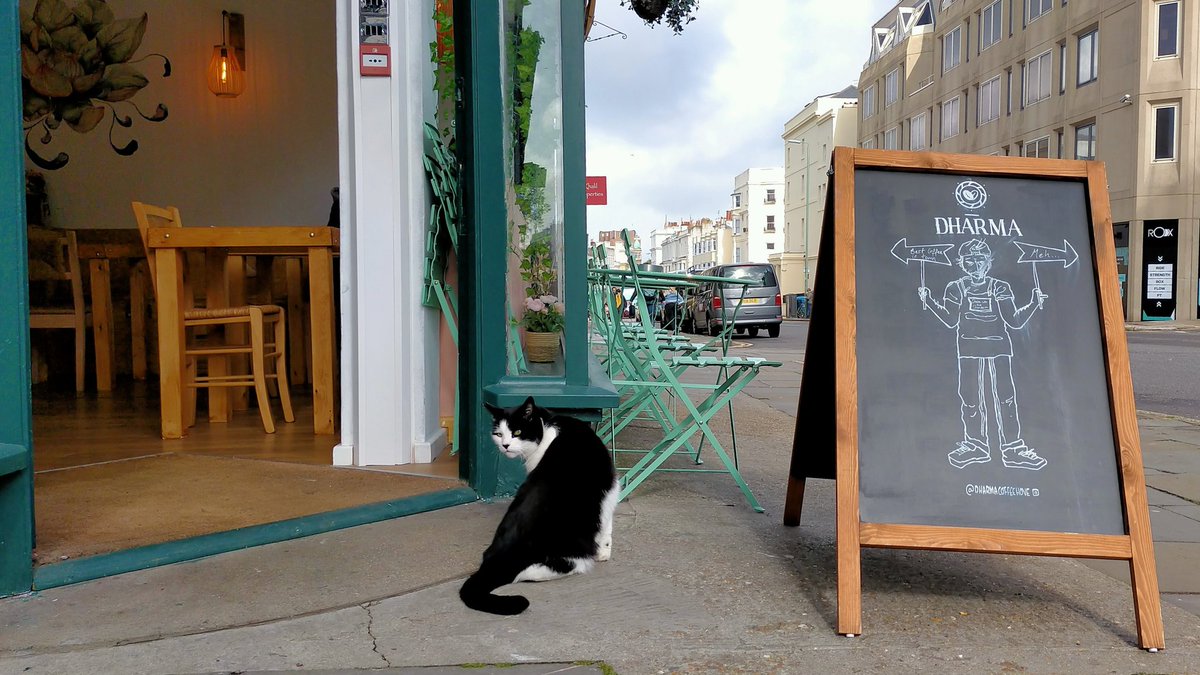 Nicoleseelig's tweet photo. Here's #Horacethecat pretending to be a café cat. #CatsOfTwitter #catsofbrighton https://t.co/S4ZoylpjLr