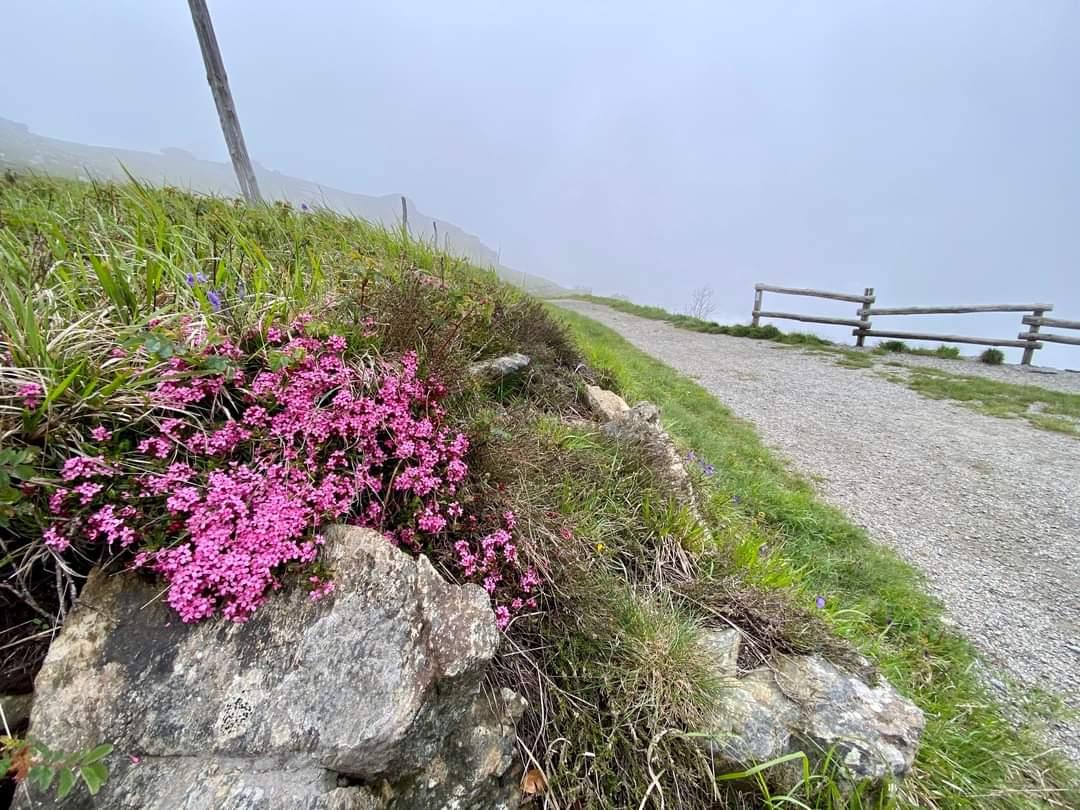 Parco Beigua UNESCO Geopark tweet media