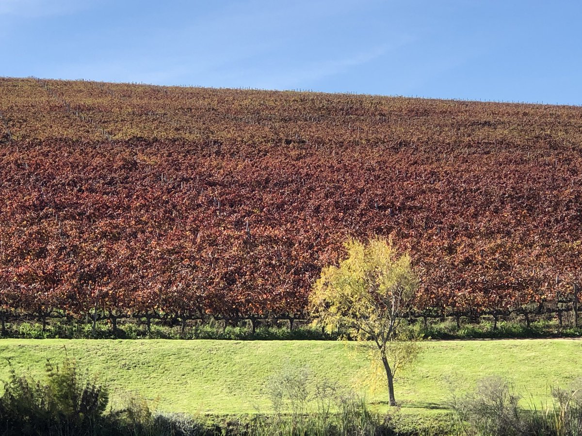 Dave March CWM tweet media