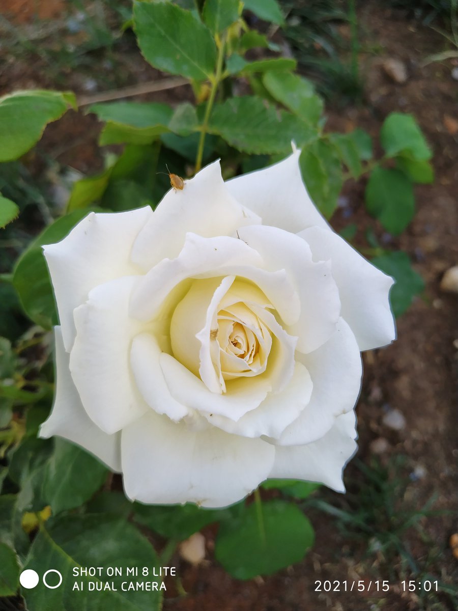DogaPhotos's tweet photo. @sedefbzdgn Mutlu yıllar 🙂 sayfamızı takip ederseniz seviniriz 😀 https://t.co/y6S0Q8mSws