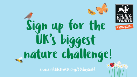 Stone Independents tweet media