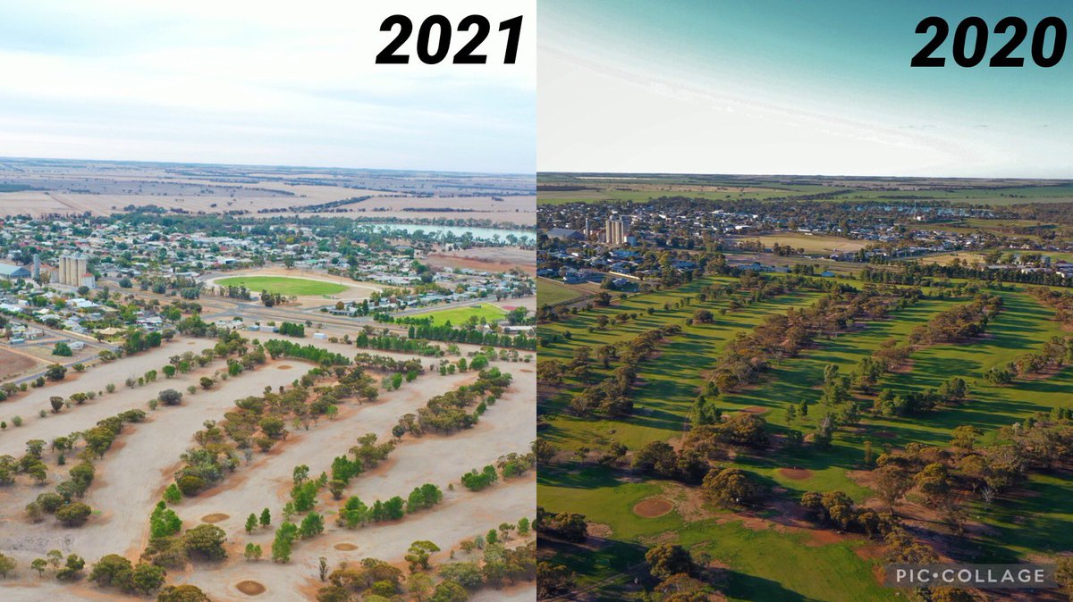 jack_flavel's tweet photo. No 2 years are the same as they say, a year apart today complete contrast.
Welcome to the mallee!! #mallee #thedry #hopetoun #golfcoure https://t.co/LxtfYPChkl