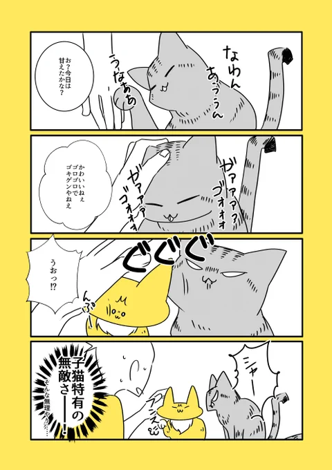 子猫めちゃくちゃ割り込んでくる 