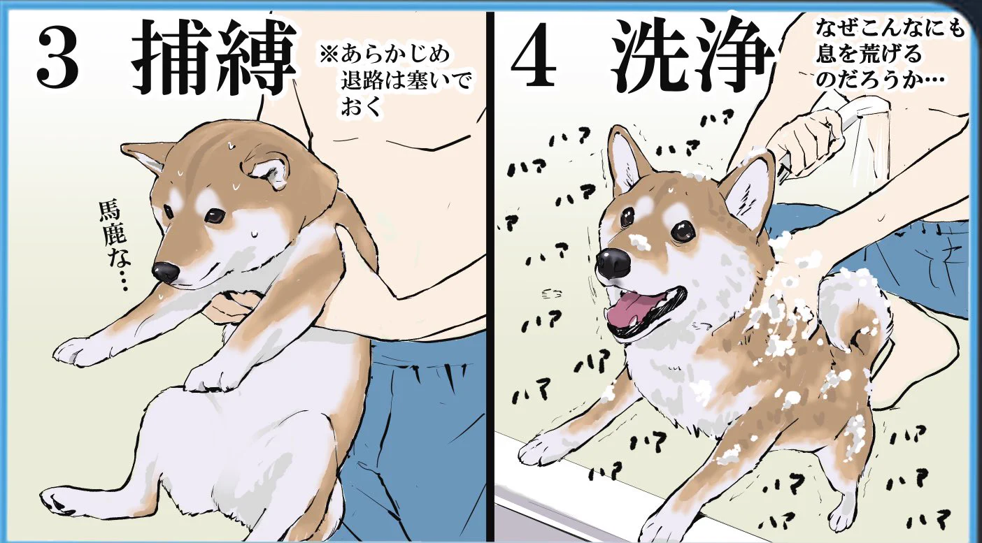 苦労してお風呂に入れたのに最後には･･･！www飼い犬のお風呂の流れを描いたイラストが話題に！