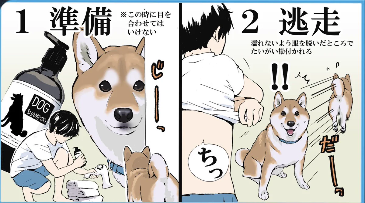苦労してお風呂に入れたのに最後には･･･！www飼い犬のお風呂の流れを描いたイラストが話題に！