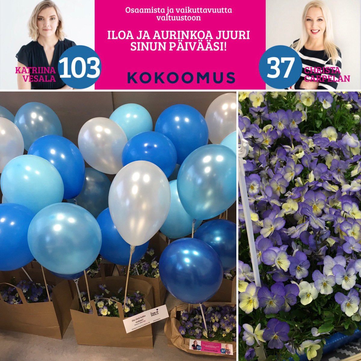Kouvolan valtaavat tänään kukat ja ilmapallot 🌺🎈💙 Löydät orvokkikorien vinkkikuvat täältä: facebook.com/vesalakatriina #kokoomuskouvolassa #kuntavaalit2021