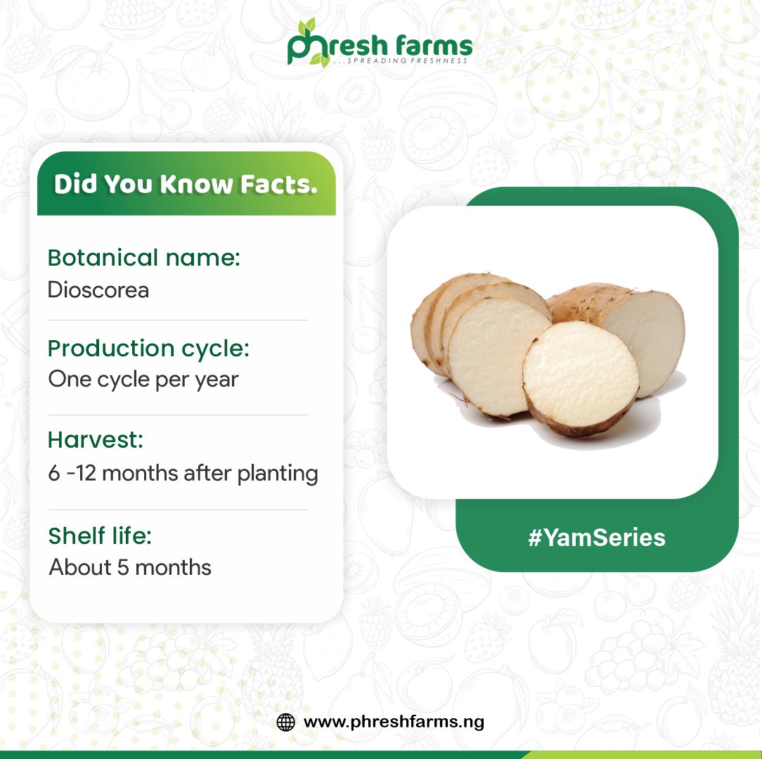 PhreshFarmsNG's tweet photo. Nigeria is one of the largest producers of yam in the world and we account for up to over 70% - 76% of the world's production. Our yam farm is among the fastest-moving investment offers; get on board with ₦25,000 or more. Visit our website for details.

#Phreshfarms
#agriculture https://t.co/rCmks1YxOi