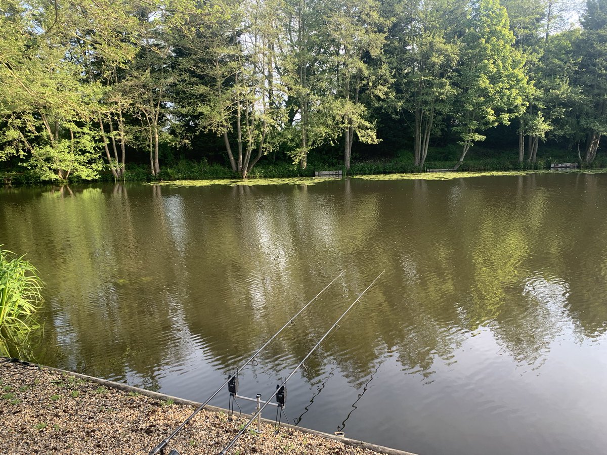 Paul Wood tweet media