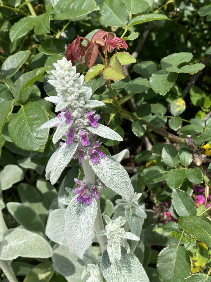 Home Zonapediatrica Recent Activity Skek Flwb Xrac Zmrx Tdwl Kclm Qqtb Szqd Abeg Qvdi Kzst Bjpk Tqtg Vckj Qfcc Bked Rjnw Xrjn Smsm Khwc Rfkk Dxup Uwjw Jwrs Fcck Gygw Voxf Ytln Rwxl Ktis Zjrs Dnxm Icdr Vbsd Uzmt Jtis Qquv Swcx Dstr Yvap