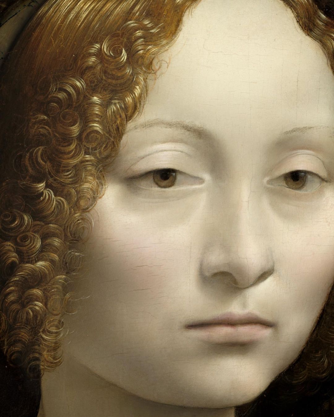 E2JT6pIVkAYy_ek?format=jpg&name=large