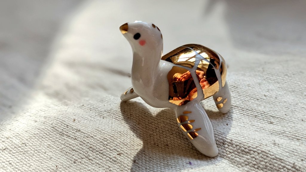 _kness's tweet photo. Golden shields and white porcelain 🐢 #WorldTurtleDay https://t.co/c9Ml1YyTCl
