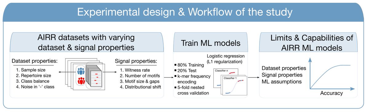 AIRR ML: Did you know that baseline machine learning methods can perform well even when disease-associated signals are present in only 2 out of 100 000 receptors in diseased adaptive immune repertoires? Check our latest preprint: biorxiv.org/content/10.110… 1/10