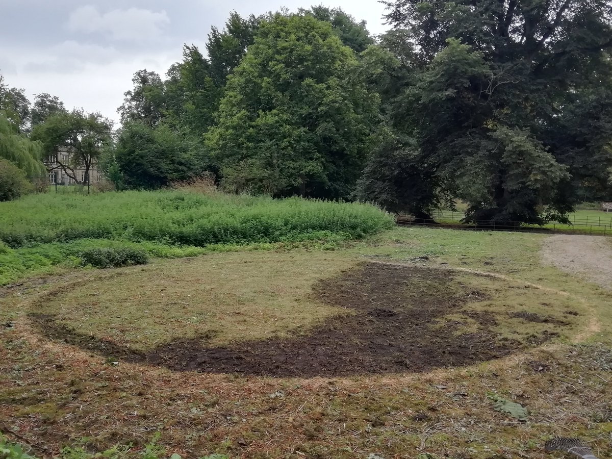 Just putting the finishing touches to our Co-op Community fund application for our mindful Labyrinth, wish us luck and votes!!