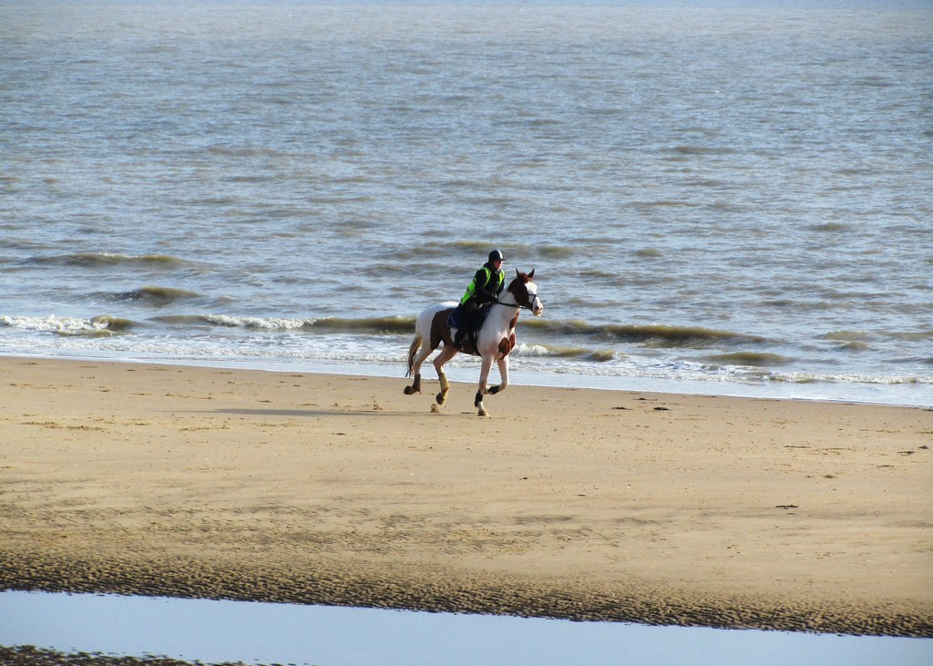 The horse ban at Frinton beach overturned as the petition hits 4,700. Read more in our latest issue at visionmag.co.uk/frinton