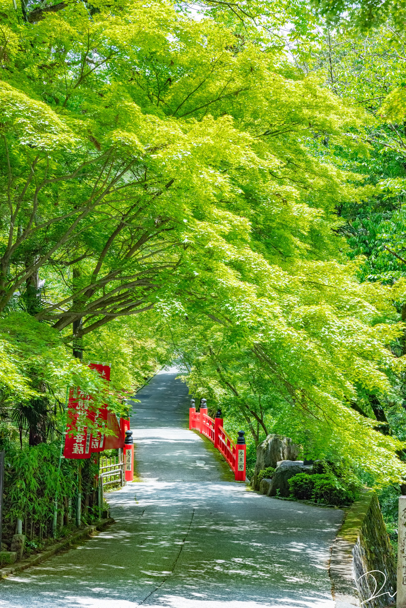 うさだぬ 極彩色の京都 写真集 新緑の京都を旅した日のこと T Co Th73p58xqb Twitter