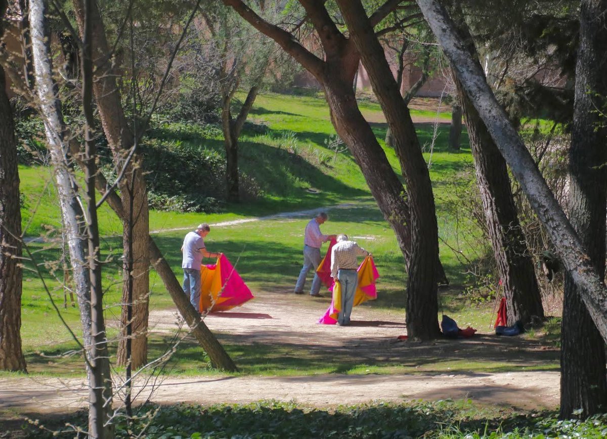 Matadors practicing. Quinta de los Molinos park in #Madrid