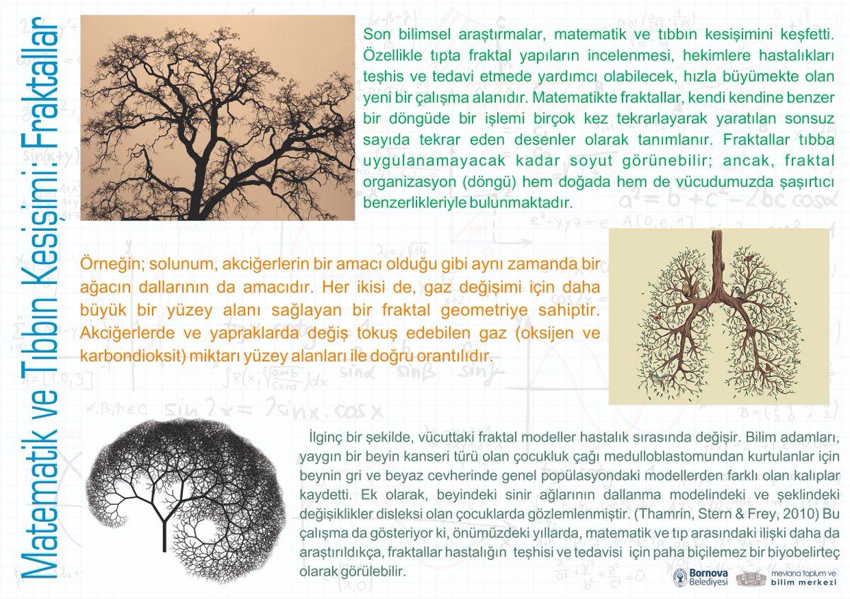 Matematik ve Tıbbın Kesişimi: Fraktallar  

#BornovaBelediyesi #MevlanaToplumveBilimMerkezi #GençKaşiflerBilimEvi #Matematik #Tıp #Fraktallar