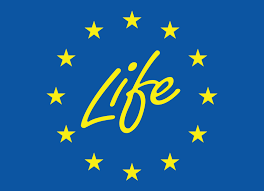 kuklabxl's tweet photo. We are the custodians of this world not the owners. @LIFEprogramme and #LaudatoSi acting to protect #nature #environment #biodiversity #Climate. Let's work together for our common home 🌎🦋🌿
#LaudatoSiWeek #UnitedLIFEpeople https://t.co/9oU9Y6bli8