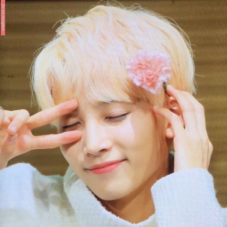 svtcafes's tweet photo. ↬ new order ! 
— cinammon rolls and Iced coffee (︶^︶)
˚₊·͟͟͟͟͟͟͞͞͞͞͞͞➳ TO: @oursjeonghan 
˚₊·͟͟͟͟͟͟͞͞͞͞͞͞➳ FROM: anonymous
「 POV - Ariana grande 」
message ; ↝ naunahan mo ko mag message cocomelon (salamat sa pa burger)  HAHAHHAAHAAAH pero ily mwah mwah . Salamaaat din++ https://t.co/FyXAKnGq4F