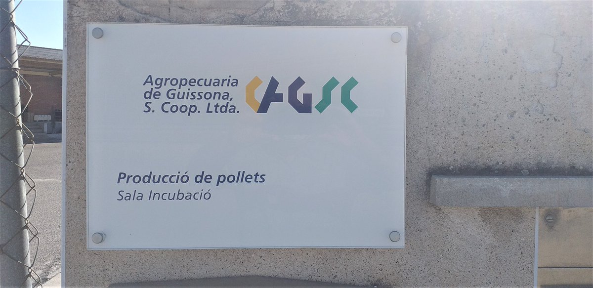 EATarrega's tweet photo. La setmana passada vam fer una sortida amb els alumnes del #curs 'Producció d'#ous i #pollets'.🥚Vam poder visitar la sala d’#incubació de l'#Agropecuària de #Guissona a Verdú (#Urgell). Un plaer comptar amb Francesc Xavier Gené durant la jornada, gràcies! #EATàrrega https://t.co/4cw98vP8u2