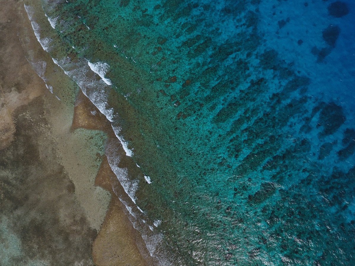 GeoNadirAu's tweet photo. Dog Flea Caye, Belize thx to #OpenReef and @citizensciencegis

For these data and more, see https://t.co/loNR85v772

#dronephotography #dronemapping #GeoNadir #dronesforgood @timlhawthorne @CMunisteri https://t.co/0vnANDdDLz