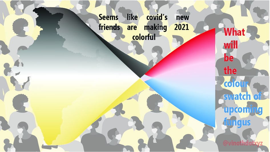 vinothdotxyz's tweet photo. What's will be the upcoming colour swatch ? Red or blue #YellowFungus https://t.co/6u3IVN63u2