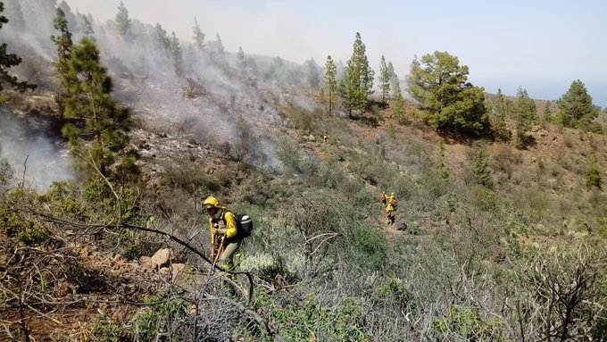 112canarias's tweet photo. 👏👏Gracias a todos los profesionales que han luchado contra el fuego y han permitido controlar el #IFArico #TENERIFE. Gracias al personal de seguridad, sanitario y logístico

Hoy los hidroaviones del @EjercitoAire se despedirán con un vuelo desde Arico hasta Santa Cruz a las 20h https://t.co/sR7DTBEEMn