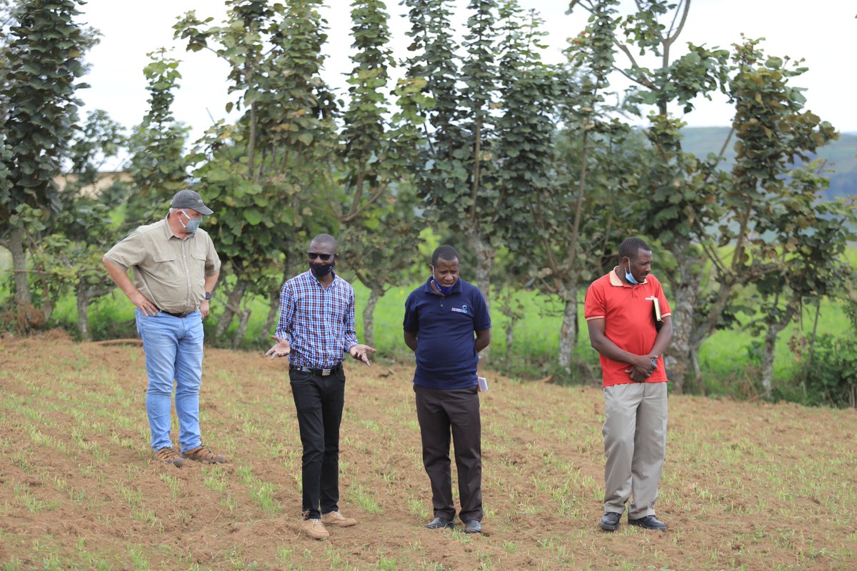 NBLUganda's tweet photo. When our farmers know better, they are able to increase yields and earn more from barley farming. Our farmer schools by @TechnoServe skill farmers to adopt more scientifically proven best practices. #SmartAgriculture #betterworld #QualityBrew. https://t.co/ViGwEIuoHW