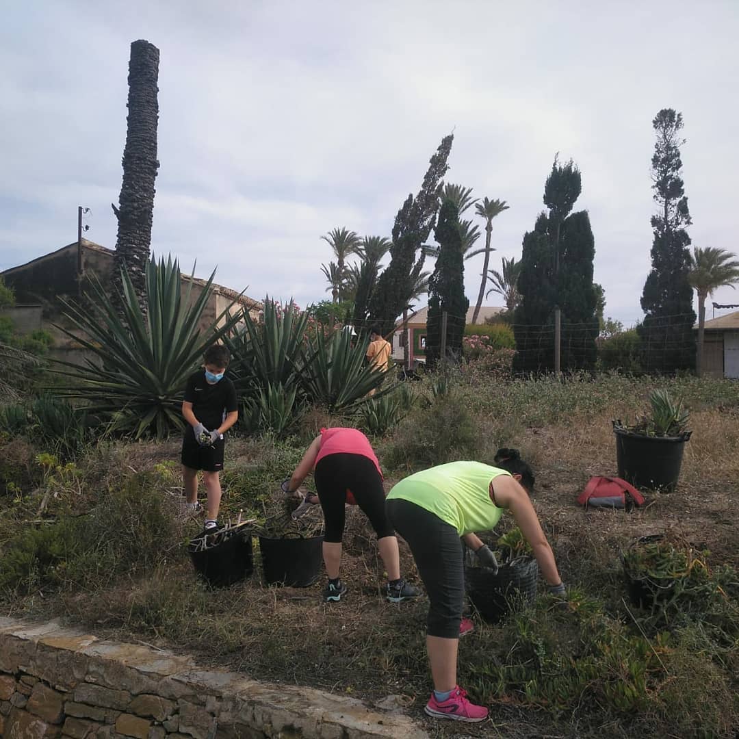 LSalinas184's tweet photo. El pasado viernes y celebrando el Día de la #RedNatura2000 fueron retiradas plantas exóticas invasoras en el #parqueregional
¡Muchas gracias los voluntarios! 🤗
#voluntariadoambiental #lifeprogramme #lifeproject #lifesalinas184 #instanse73 #eei #especiesexoticasinvasoras #flora https://t.co/WM0bGjQftq