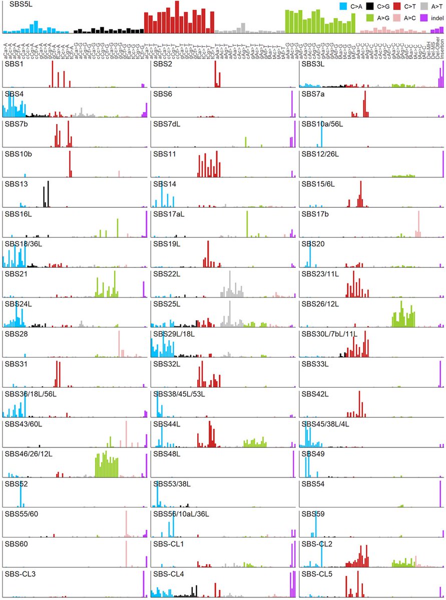 FranSupek's tweet photo. Mutational signatures (#MSigs) – extracted using NMF similar to other mut. sig. work – were matched to the known SBS signatures from Cosmic, recovering 50 SBS at FDR ~2% (of that 29 at a more stringent treshold). Our signatures also have an #indel component. https://t.co/Aft13FCtGb