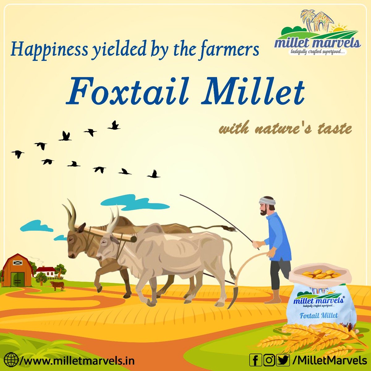 MilletMarvels's tweet photo. Foxtail millets are one of the old traditional food, slowly lost their identity. And now, they are rising worldwide because of how easy it is to grow and how adaptable it is as a food.

#MilletMarvels #Millets #Switchtomillets #Supergrains #NutritiousFood #FoxtailMillet https://t.co/IuIAA47mpo