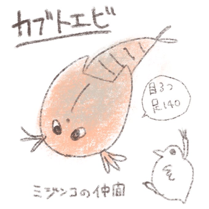 カブトガニのtwitterイラスト検索結果 カブトガニのtwitterイラスト検索結果