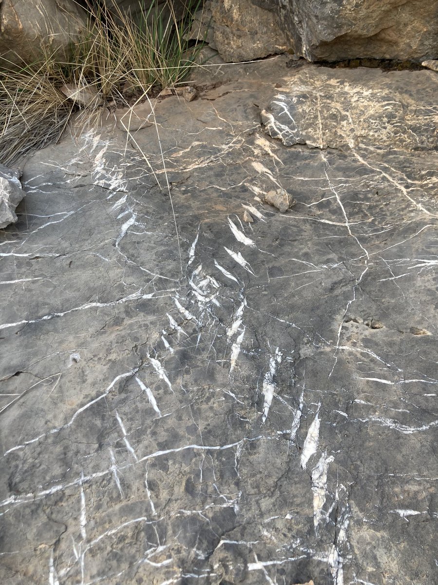 PabloGranado9's tweet photo. Tension gashes, Eastern Pyrenees https://t.co/HkgqF45znO