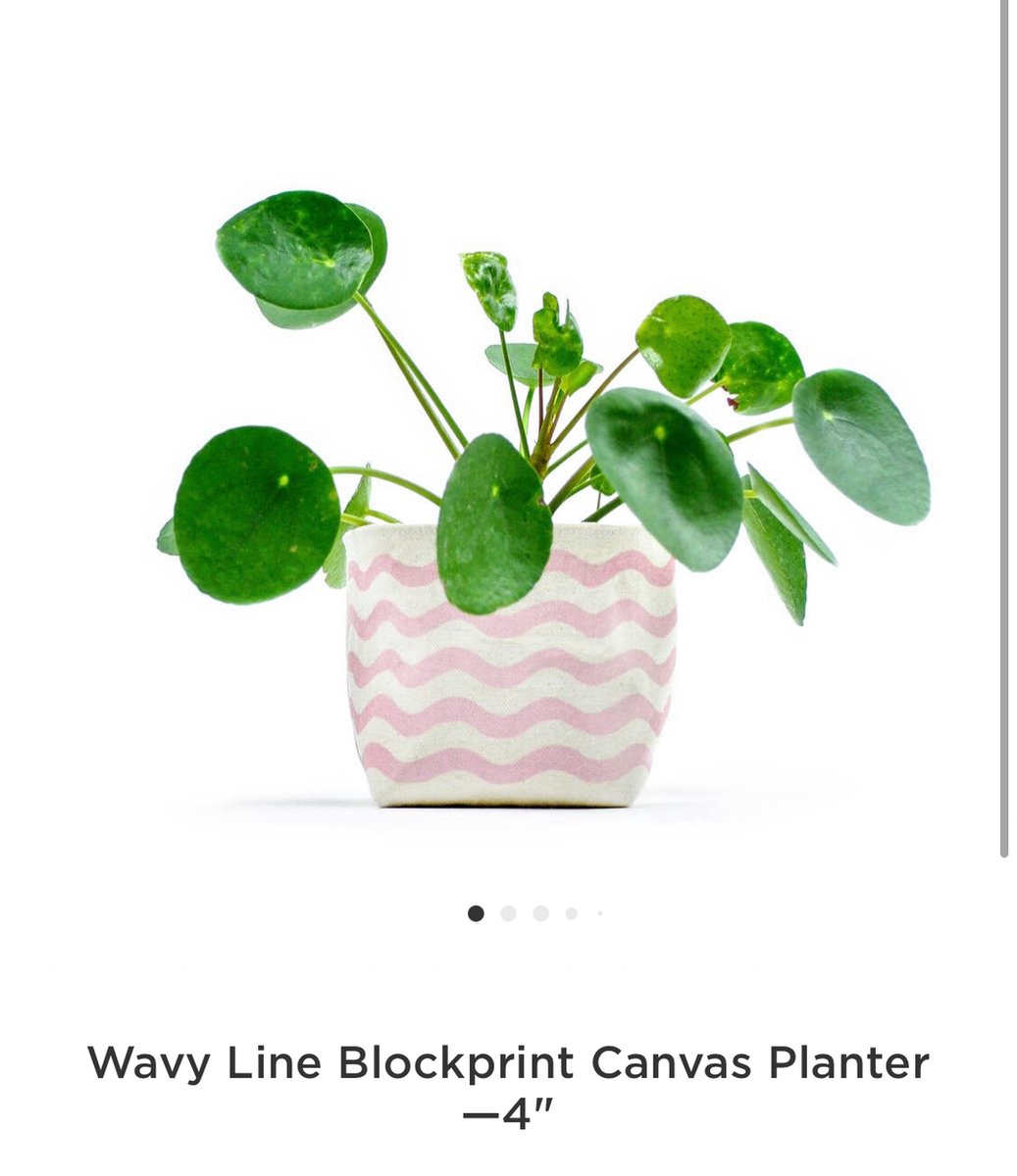 Oh what a beautiful morning 🎶