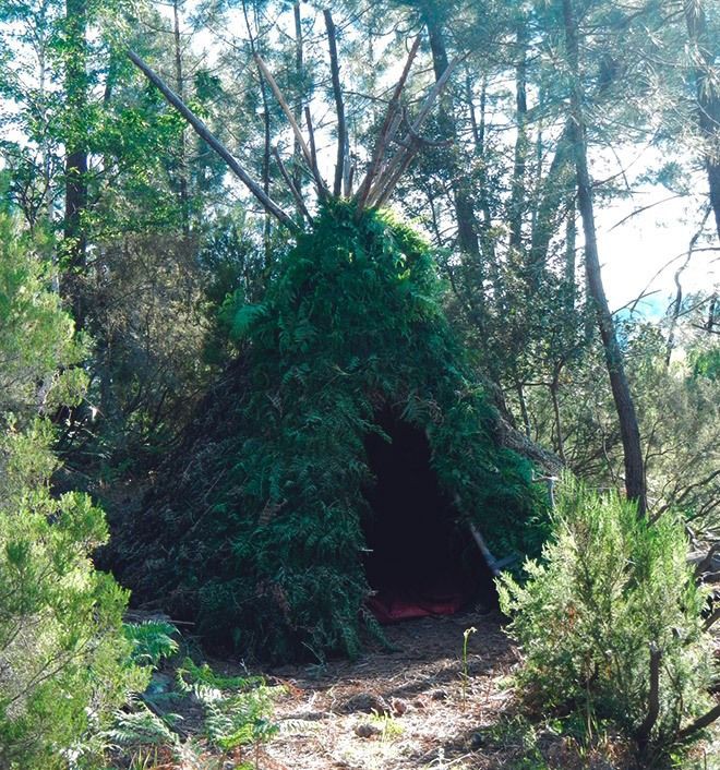 Укрытие в лесу. Лесной шалаш каменск шахтинский. Вигвам в лесу. Шалашик. Глэмпинг хижина в лесу.